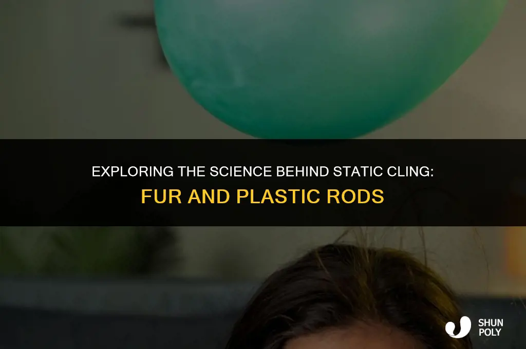 when a plastic rod is rubbed against fur