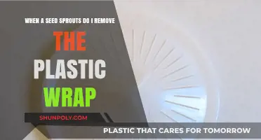 Should You Remove Plastic Wrap When a Seed Sprouts?