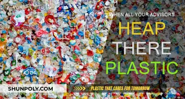Advisors' Plastic Habits: A Lesson in Sustainability