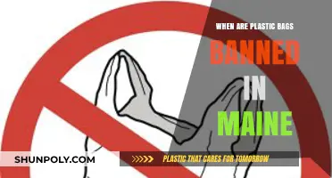 Maine's Plastic Bag Ban: What You Need to Know
