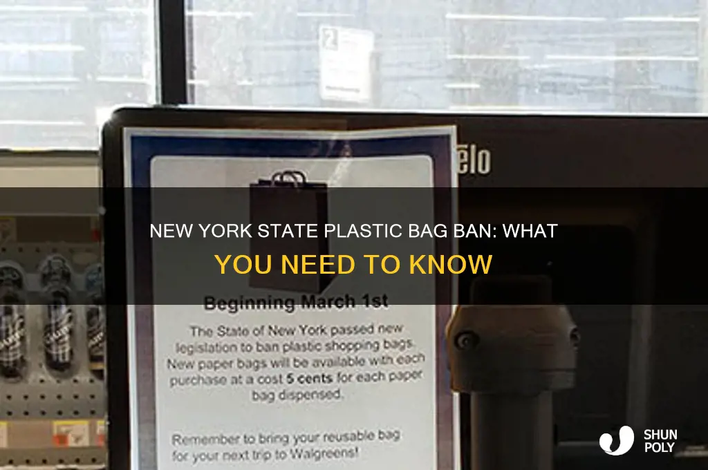 when are plastic bags banned in new york state