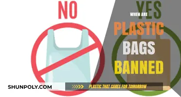 Plastic Bag Bans: Global Timeline and Environmental Impact Explained