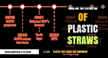 When Will Plastic Straws Be Banned? A Timeline for Change