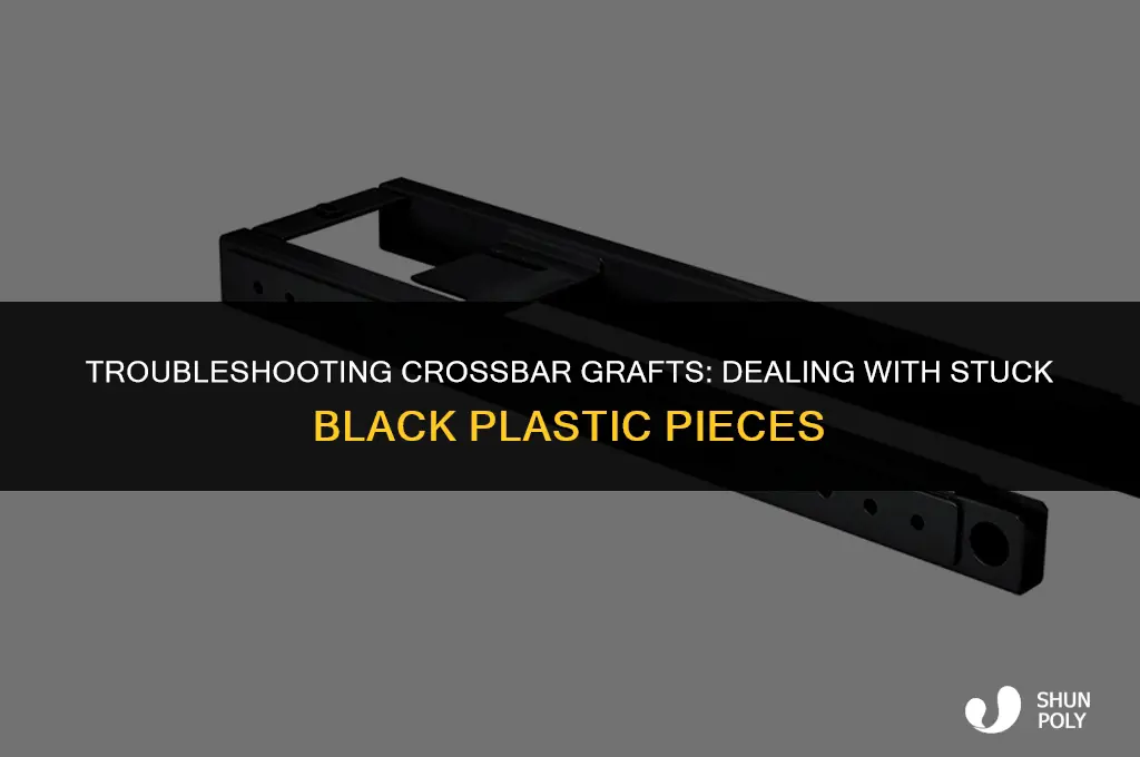 when black plastic pieces are stuck in crossbar grafts