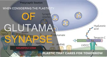 Glutamate Synapses: Plasticity and Its Complex Mechanisms