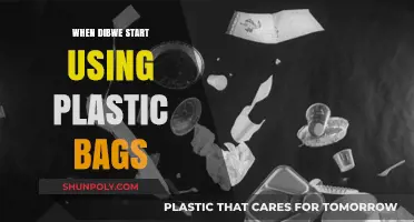 The Evolution of Plastic Bags: When Did Dibwe Begin Using Them?
