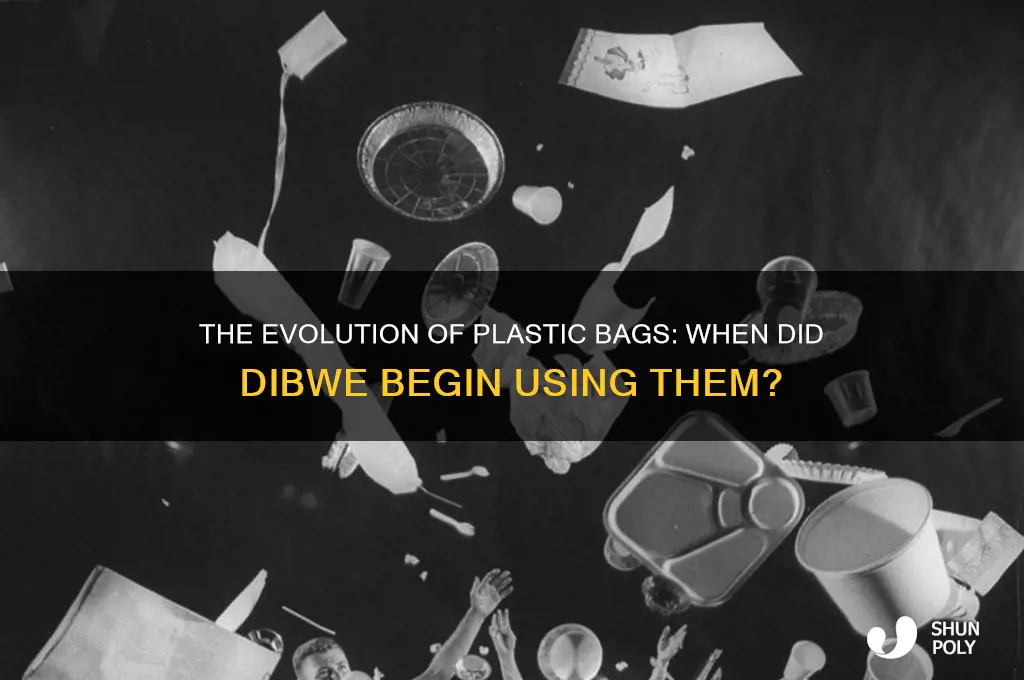 when dibwe start using plastic bags