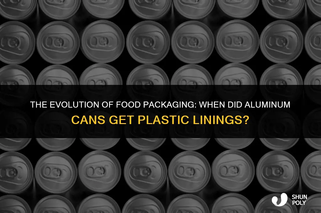 when did aluminum came start being lined with plastic