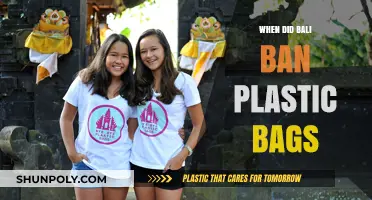 Bali's Plastic Bag Ban: A Timeline of Environmental Action