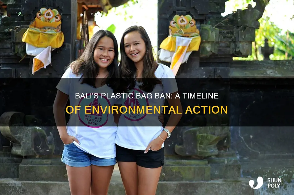 when did bali ban plastic bags