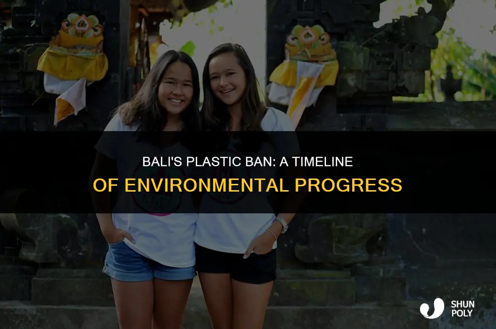 when did bali ban plastic