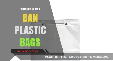 Boston's Plastic Bag Ban: A Timeline of the City's Initiative