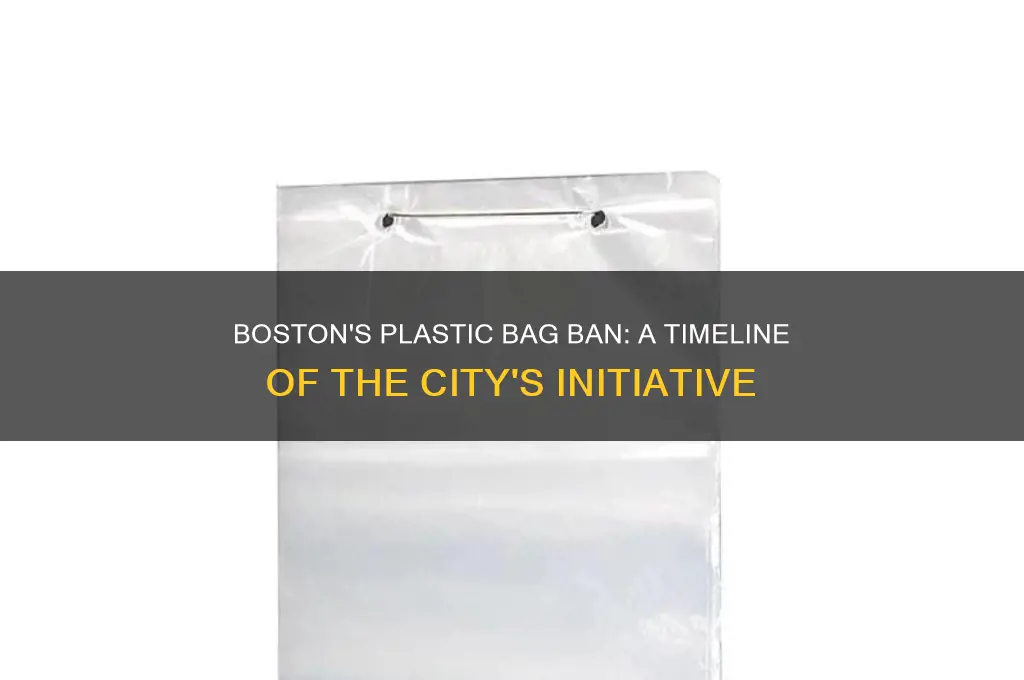 when did boston ban plastic bags