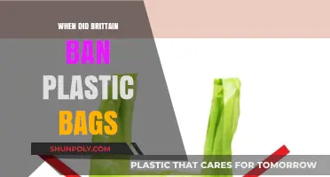 Britain's Plastic Bag Ban: A Timeline of Environmental Action