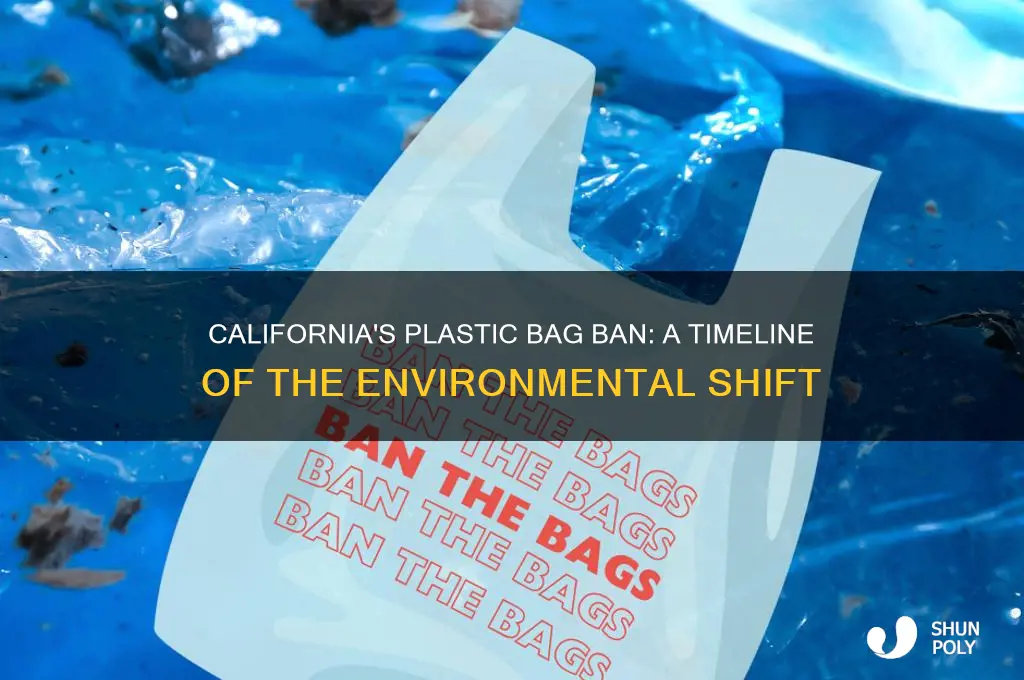 when did ca end plastic bag