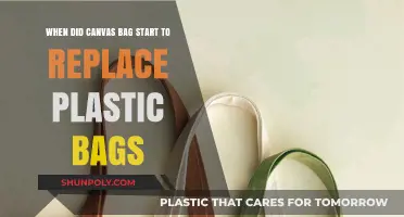 The Rise of Canvas Bags: Replacing Plastic in Modern Shopping