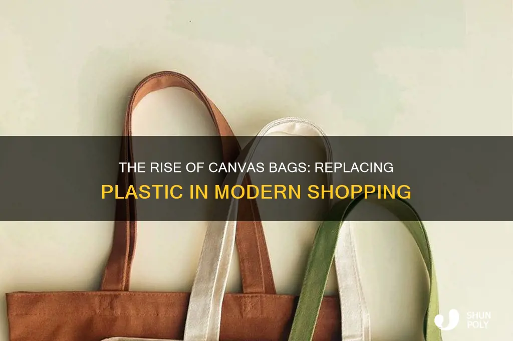 when did canvas bag start to replace plastic bags
