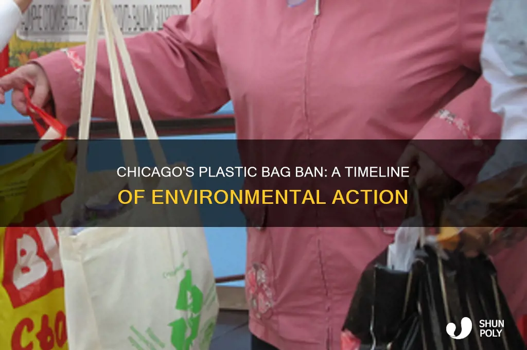 when did chicago ban plastic bags