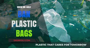 Chile's Plastic Bag Ban: A Milestone in Environmental Policy