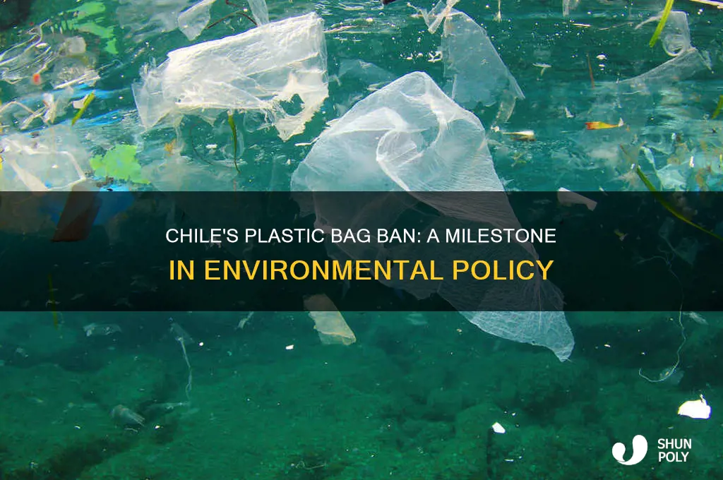 when did chile ban plastic bags