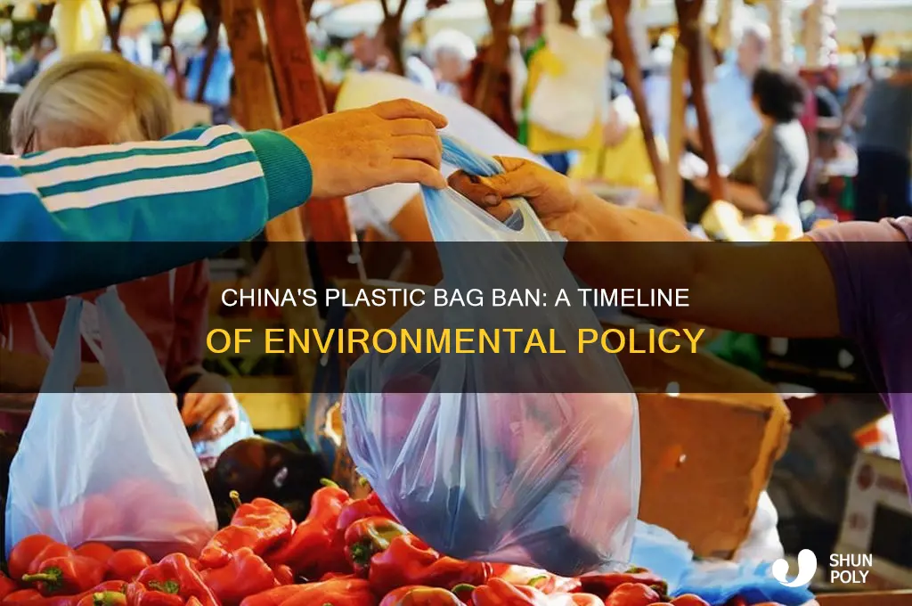 China's Plastic Bag Ban: A Timeline Of Environmental Policy | ShunPoly