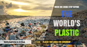 China's Plastic Import Ban: A Global Recycling Shift Explained