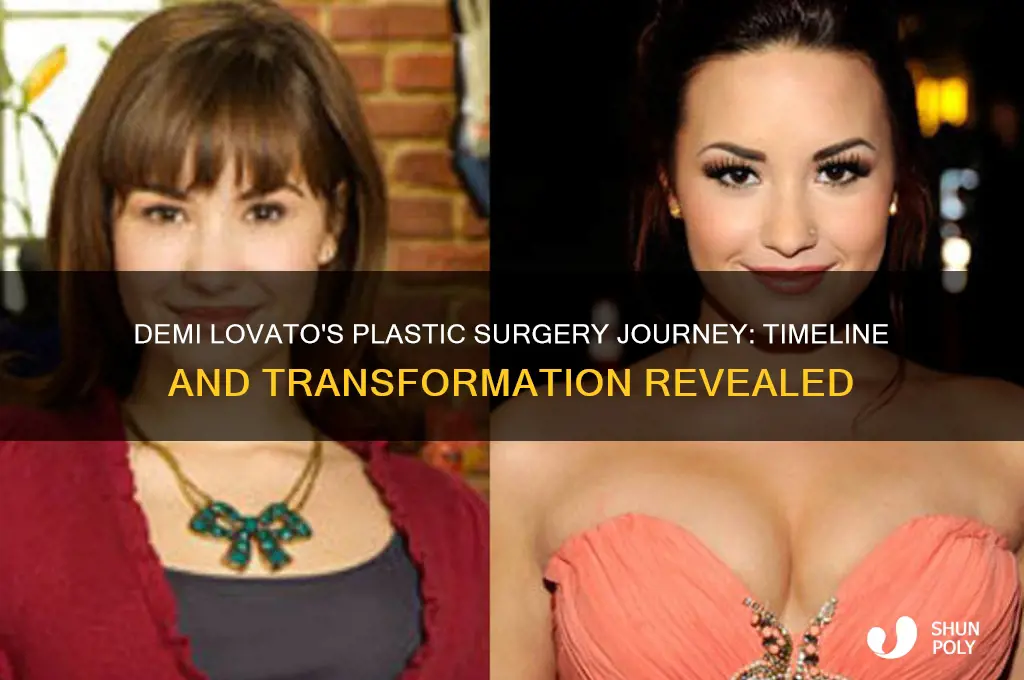 when did demi lovato get plastic surgery