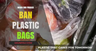 France's Plastic Bag Ban: A Timeline of Environmental Action