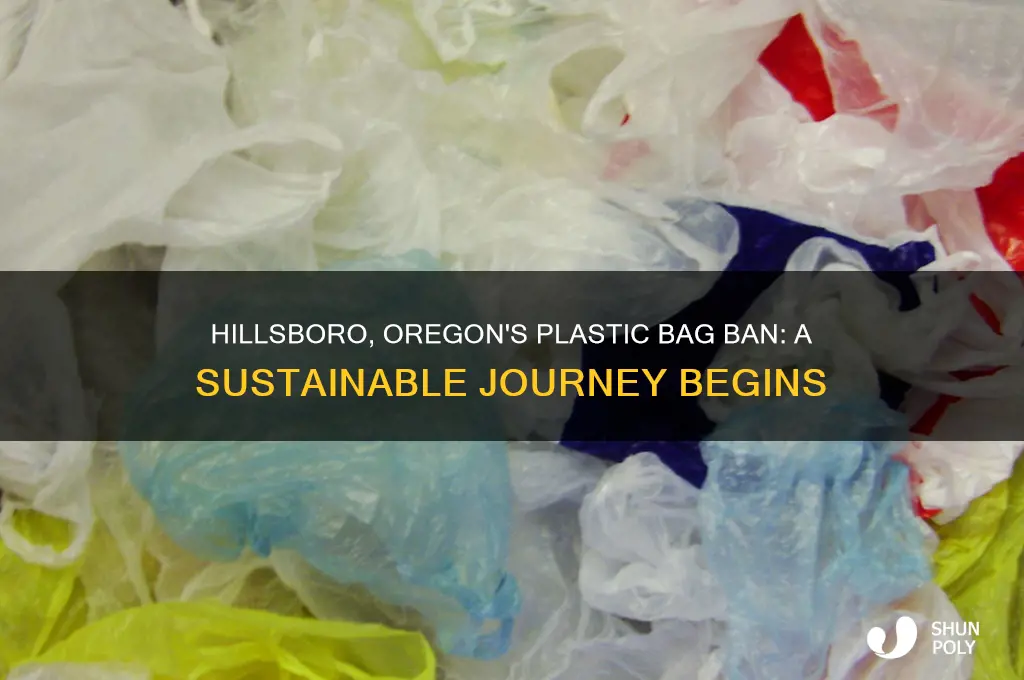 when did hillsboro or start the no plastic bags