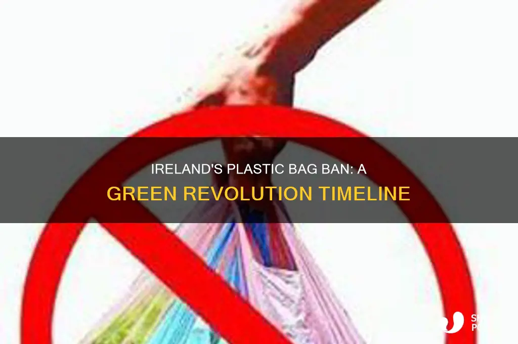 when did ireland ban plastic bags