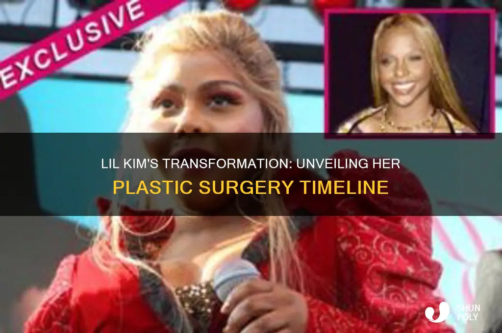 when did lil kim get plastic surgery