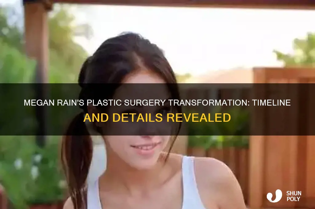 when did megan rain get plastic surgery