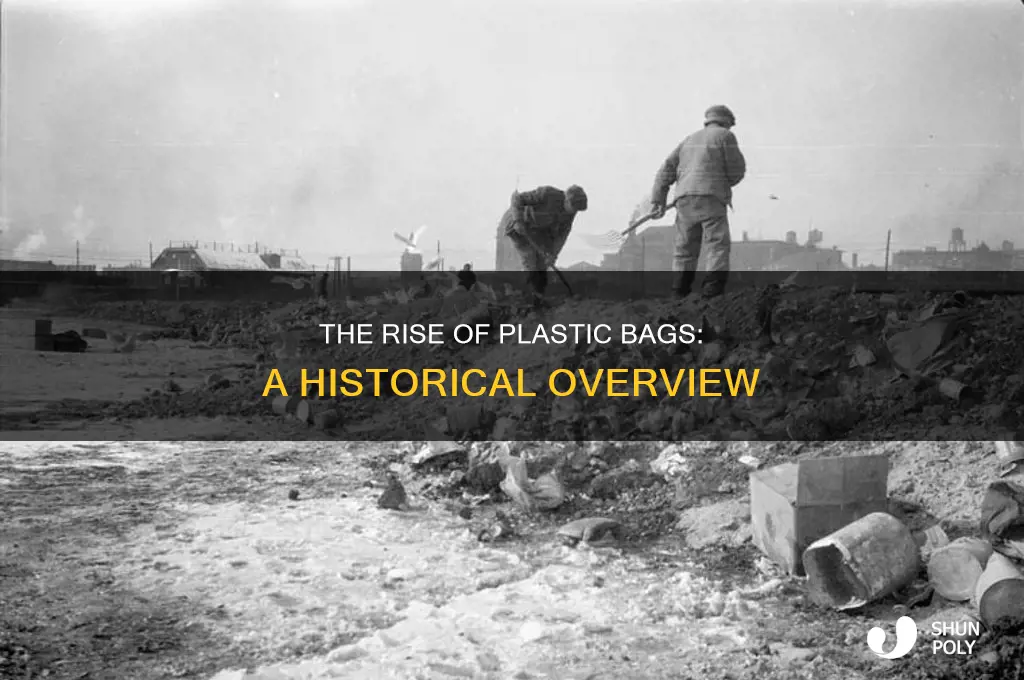 when did people started using plastic bags