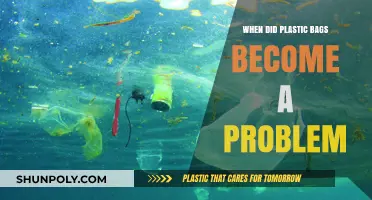 The Rise of Plastic Bags: From Convenience to Environmental Crisis