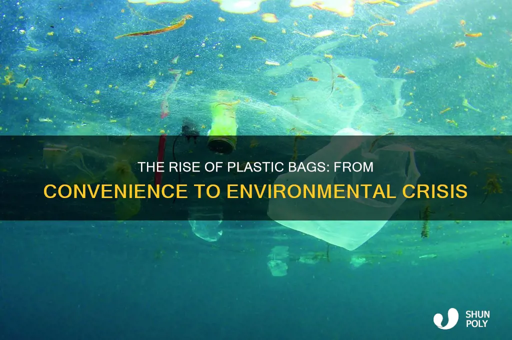 when did plastic bags become a problem