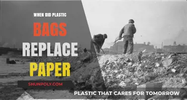 The Shift from Paper to Plastic Bags: A Historical Overview