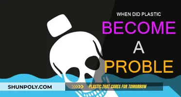 Plastic's Dark History: When Did It Become an Issue?