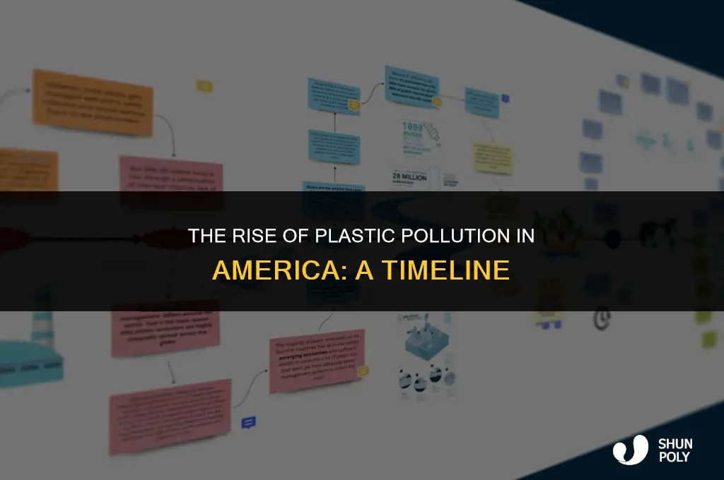 when did plastic become an issue in america