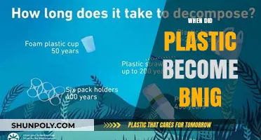 The Rise of Plastic: A Timeline of Its Impact on Our World