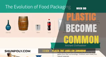 The Rise of Plastic: A Timeline of Its Ubiquity