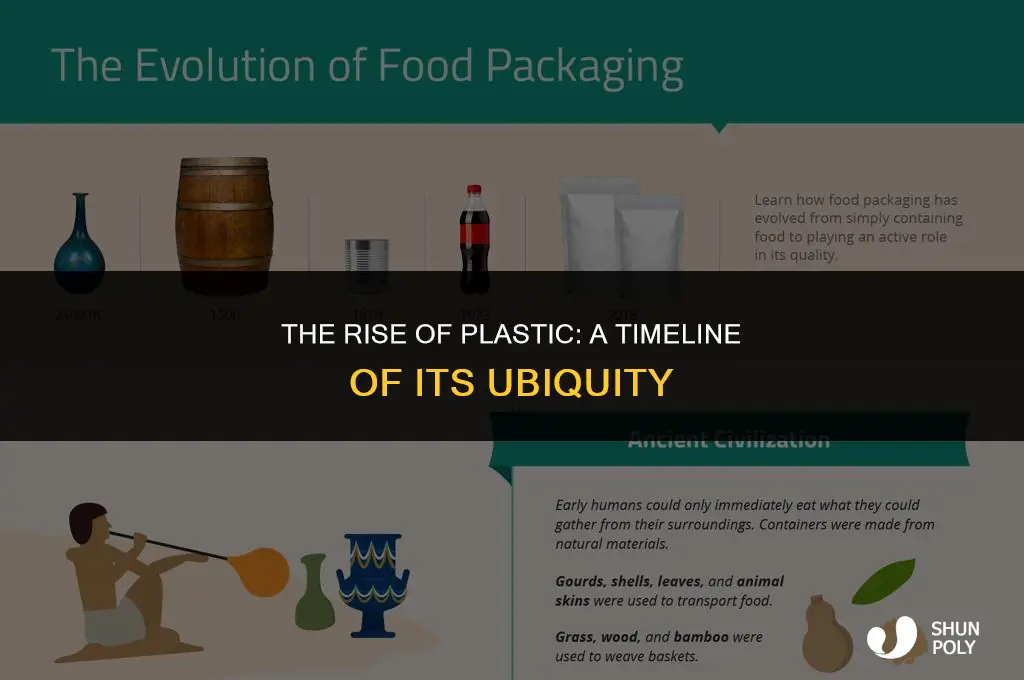 when did plastic become common