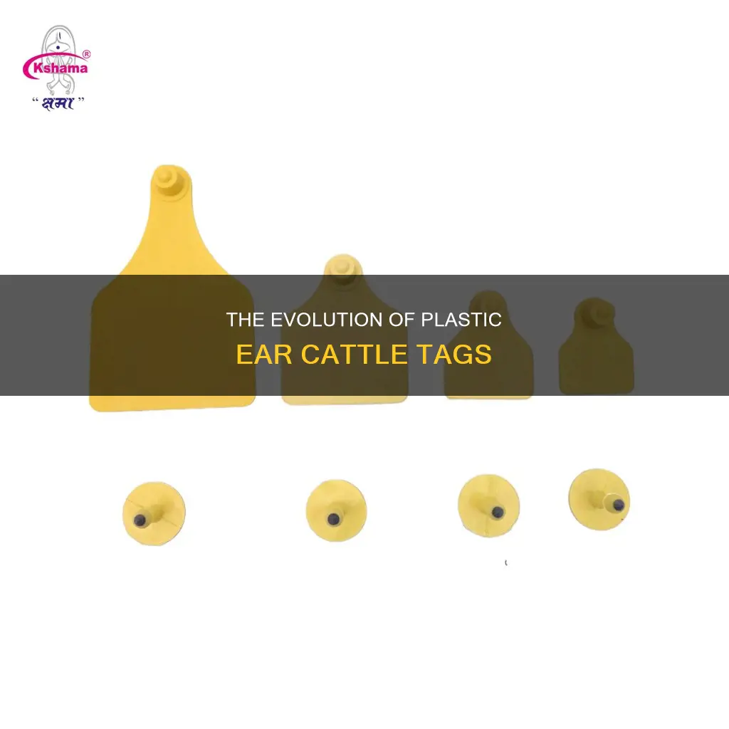 when did plastic ear cattle tags invent