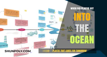 Tracing the Timeline: How Plastic Invaded Our Oceans
