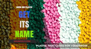 Unveiling the Origins: When Did Plastic Get Its Name?