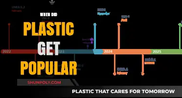 The Rise of Plastic: A Journey to Global Popularity