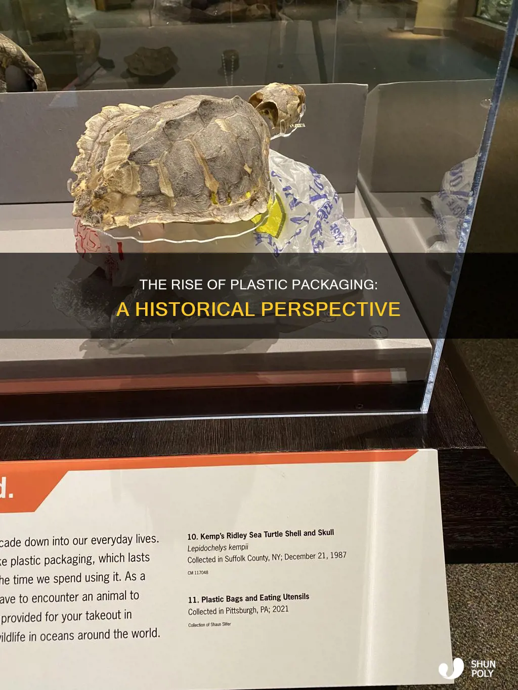 when did plastic packaging became popular