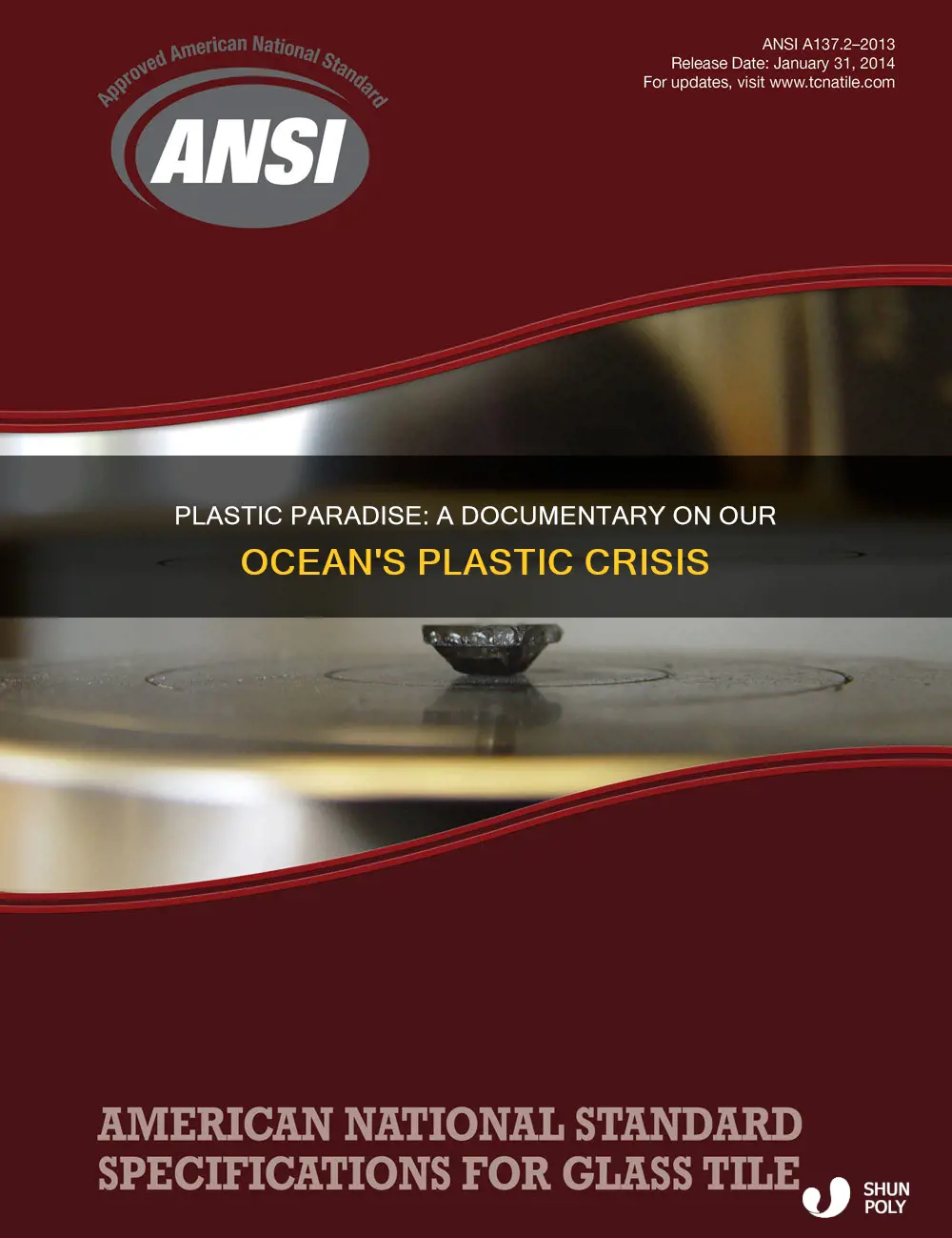 when did plastic paradise movie come out