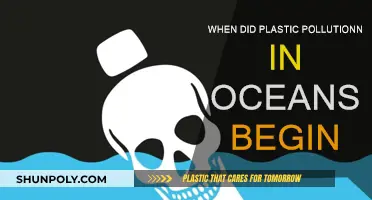 Plastic Pollution's Start in Oceans: A Historical Perspective