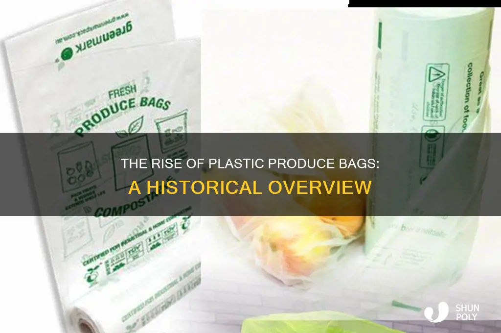 when did plastic produce bags become standard