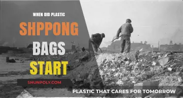 The Rise of Plastic Shopping Bags: A Historical Overview